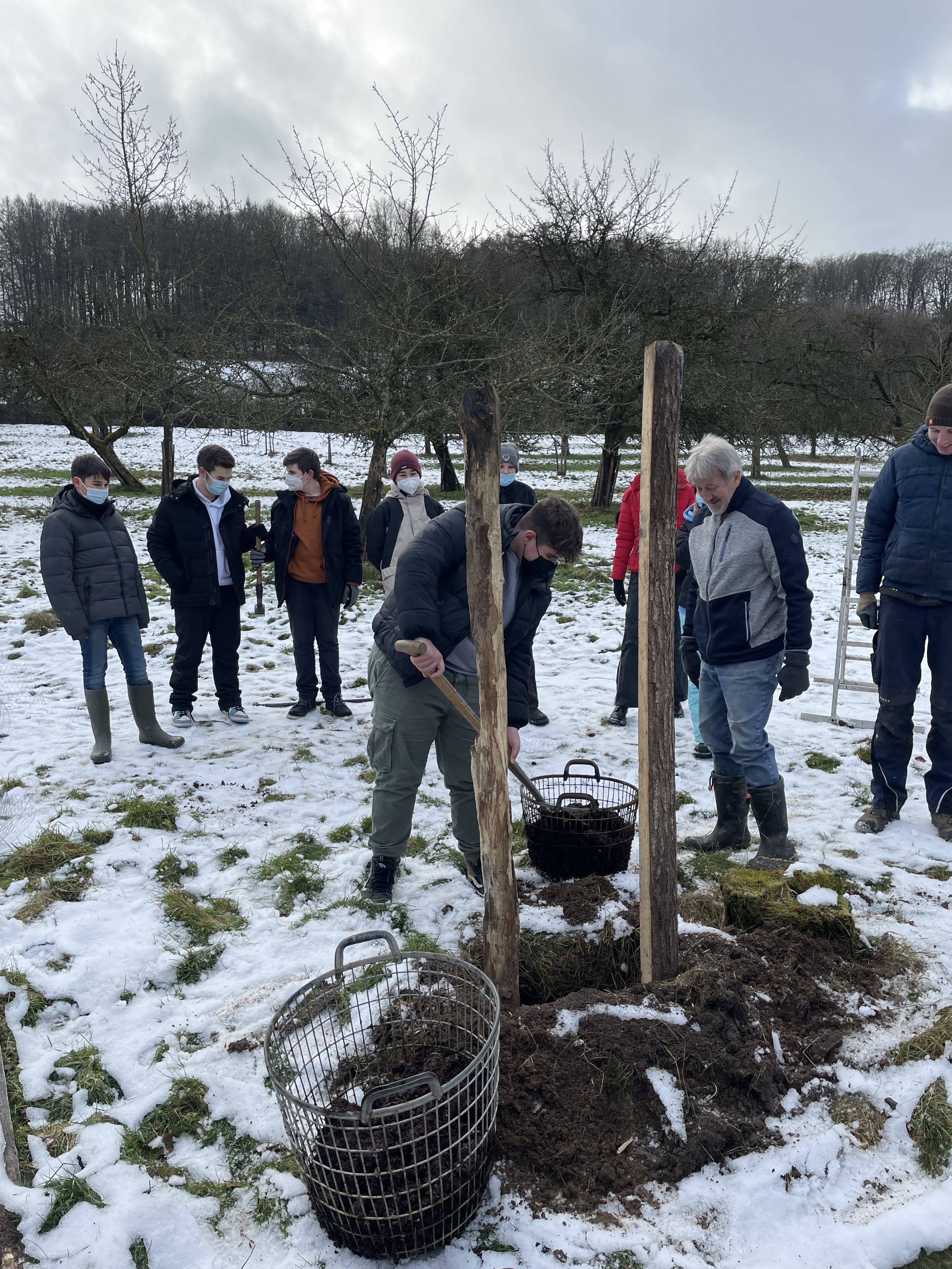 2021-12-09-Obstbaeum-pflanzen-Klasse-7-8 (22)