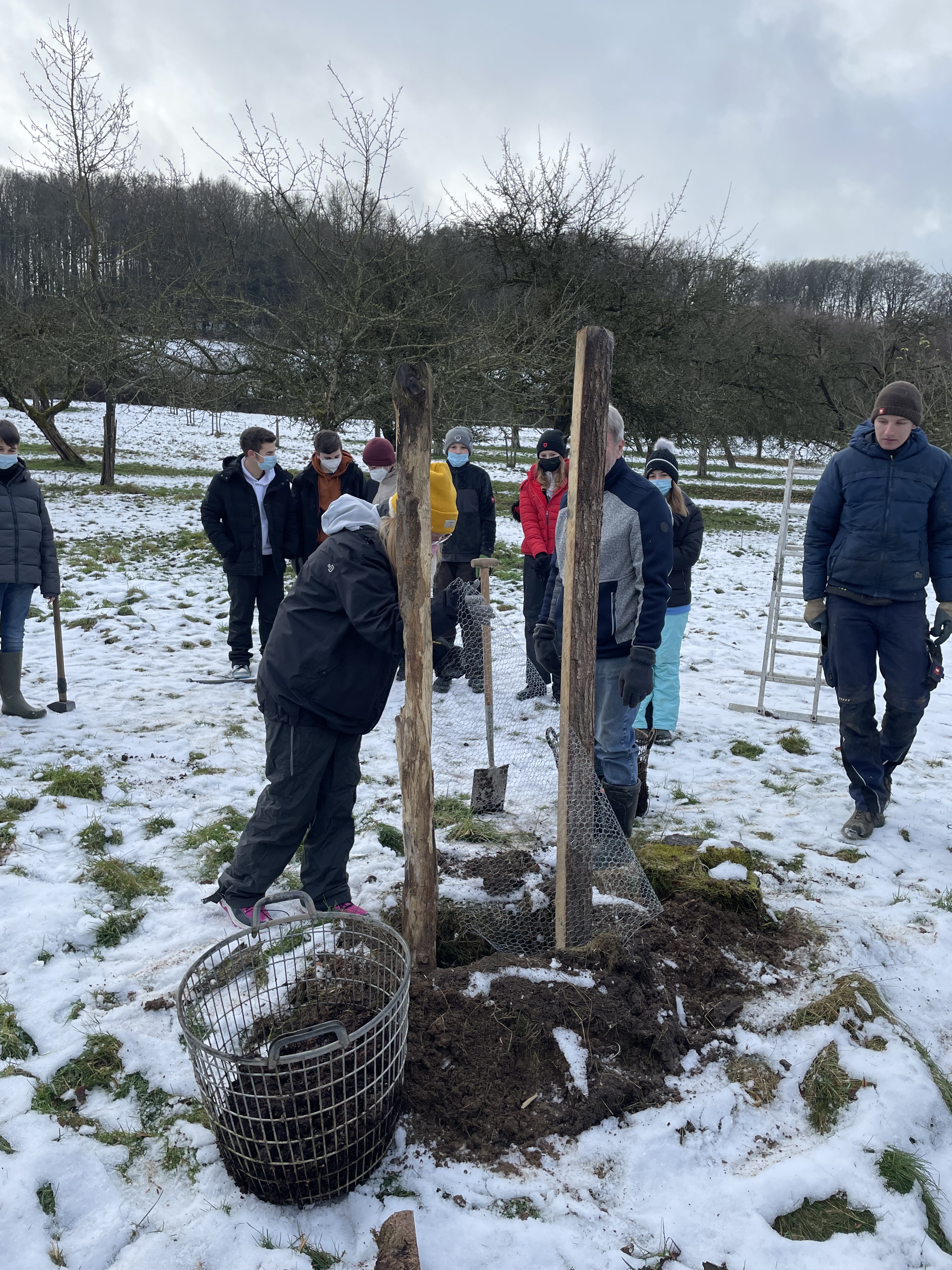 2021-12-09-Obstbaeum-pflanzen-Klasse-7-8 (23)