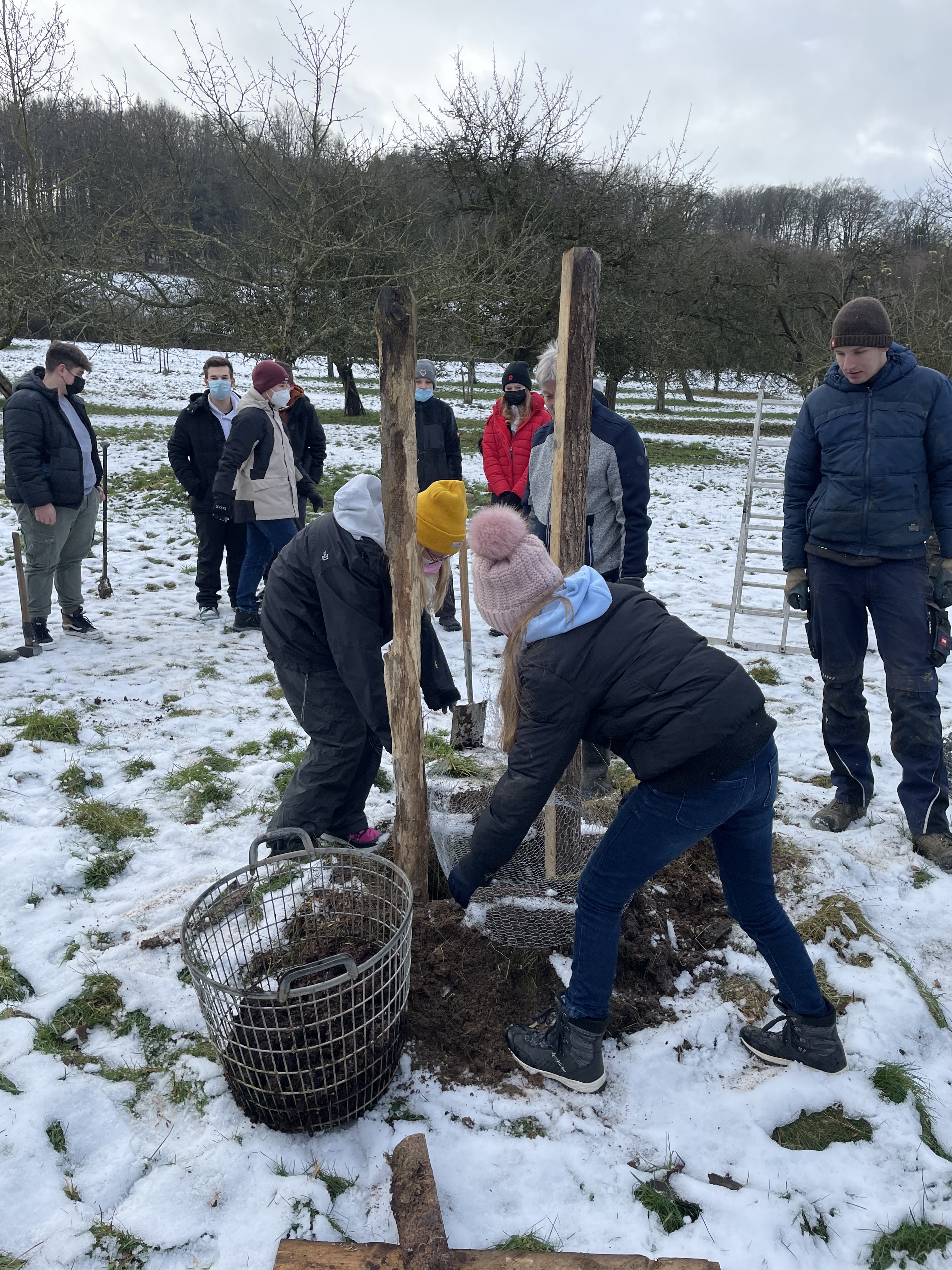 2021-12-09-Obstbaeum-pflanzen-Klasse-7-8 (24)