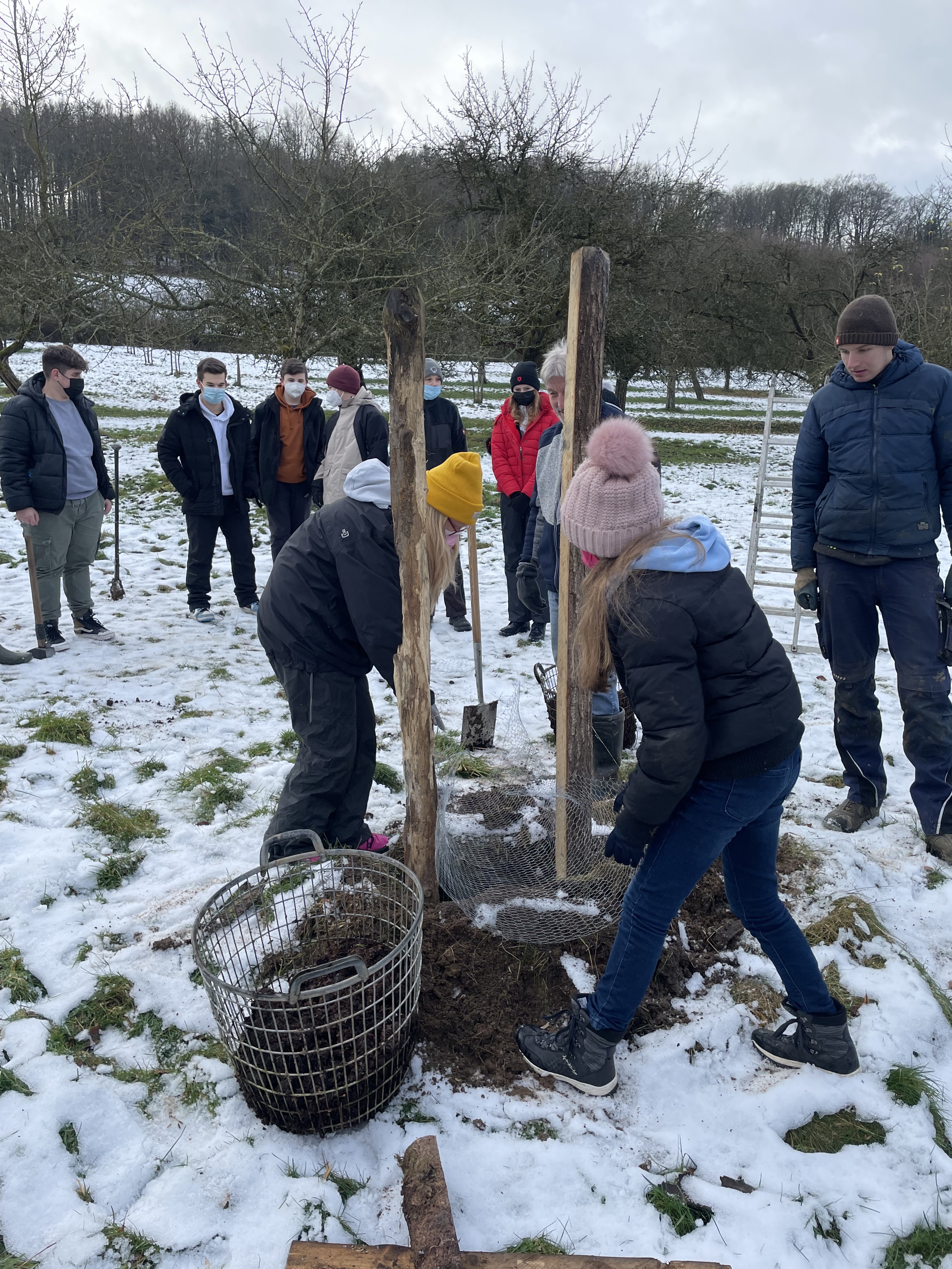 2021-12-09-Obstbaeum-pflanzen-Klasse-7-8 (25)