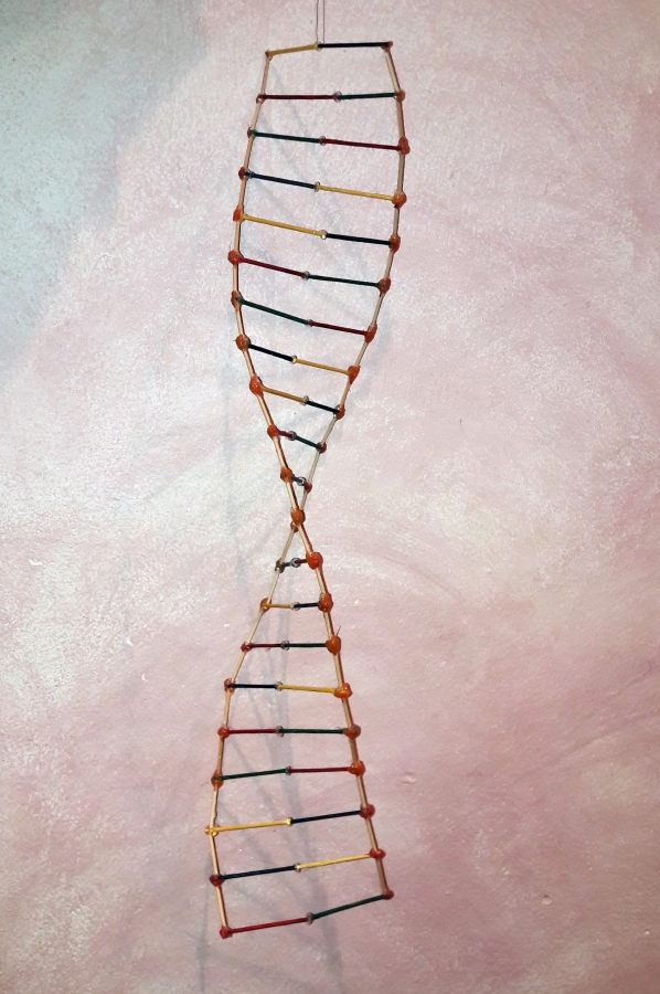 20190328_8DNA