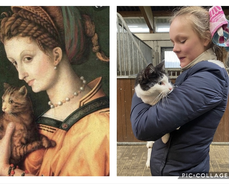 8-JE-Francesco-Bacchiacca-Portrait-of-a-young-lady-holding-a-cat