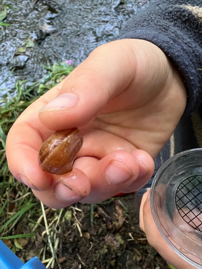 Naturkinder07