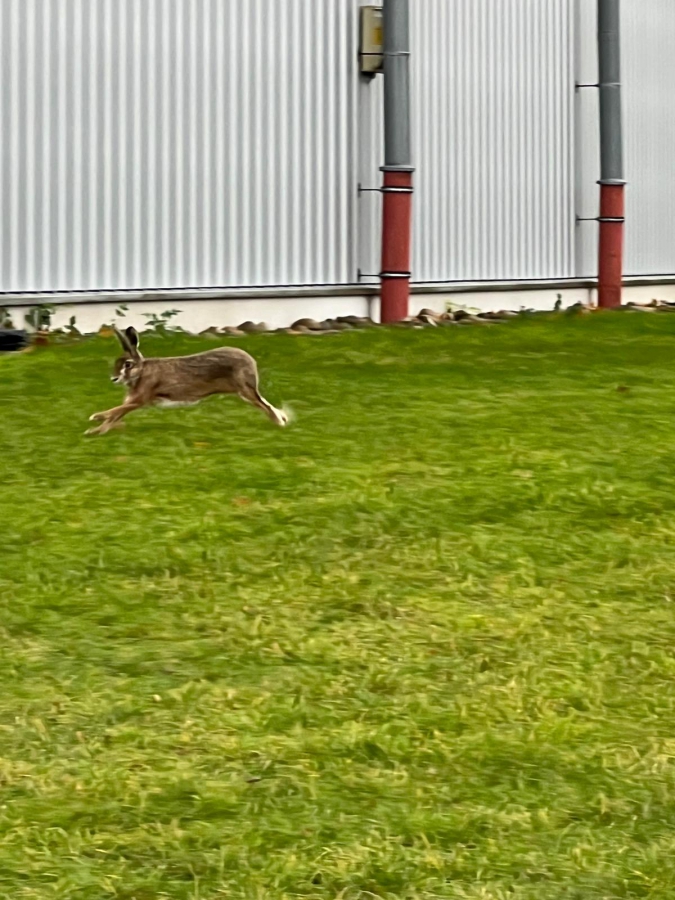 2025-10-27 SASE Iserlohn 5-6 u 9-10 (4)