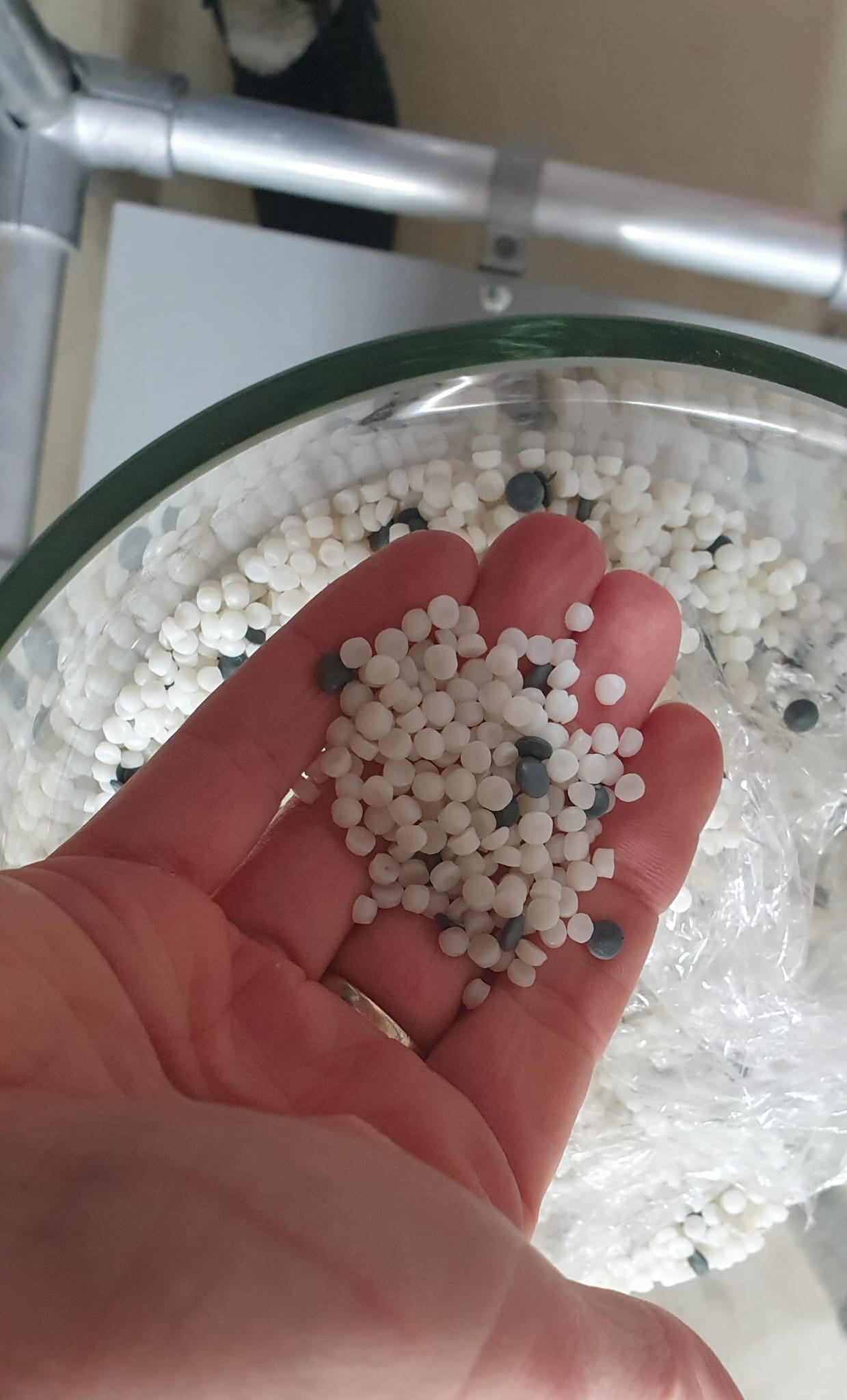 2025-10-27 SASE Iserlohn 5-6 u 9-10 (37) 2025-10-27 SASE Iserlohn 5-6 u 9-10 (37)