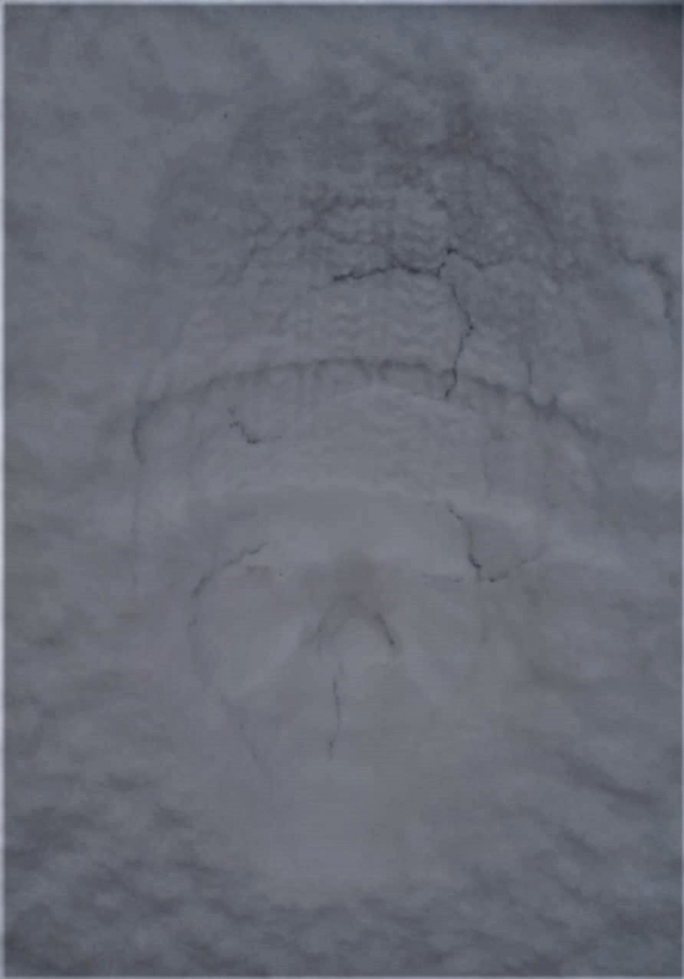 2021-01-10-Schneeportrait-2-