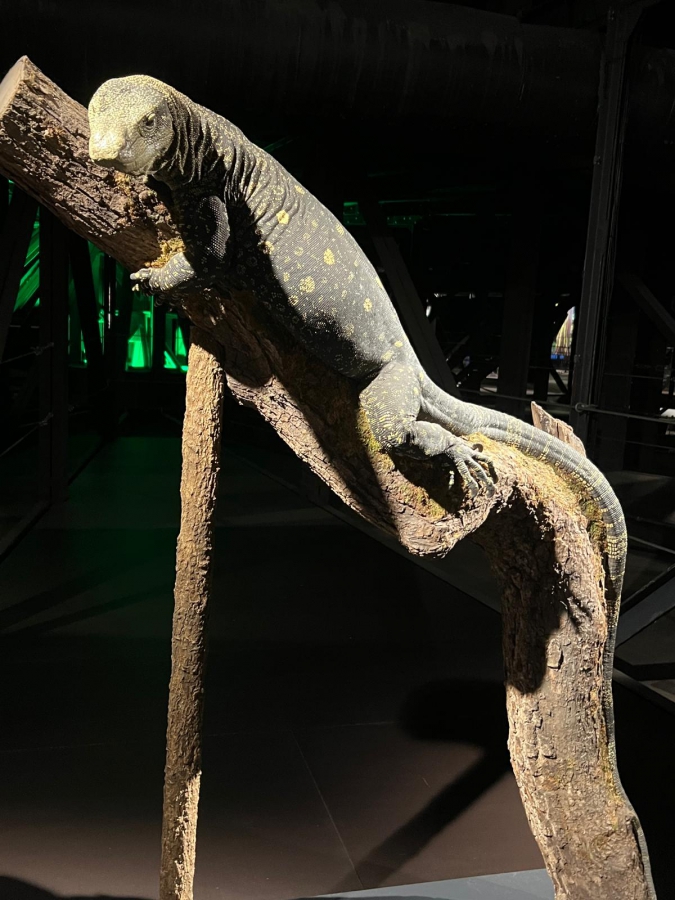 2026-07-15-Schulausflug-Oberhausen (18)